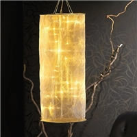 click image to enlarge