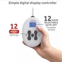 click image to enlarge