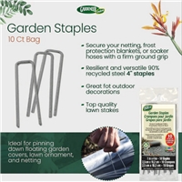 click image to enlarge
