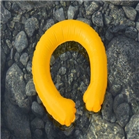 click image to enlarge