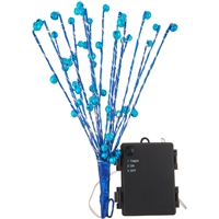 click image to enlarge