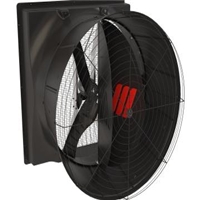 click image to enlarge