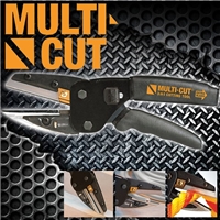 click image to enlarge