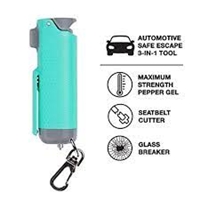 click image to enlarge