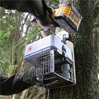 click image to enlarge