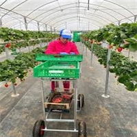 click image to enlarge