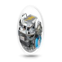 click image to enlarge