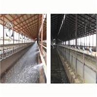 click image to enlarge