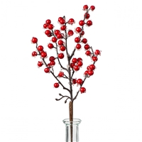 click image to enlarge