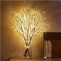 click image to enlarge