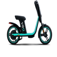 click image to enlarge