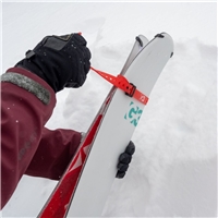 click image to enlarge