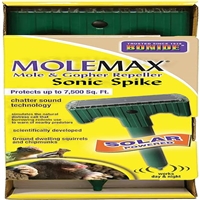 click image to enlarge