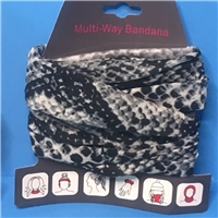 click image to enlarge