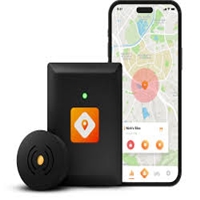 click image to enlarge