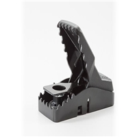 click image to enlarge