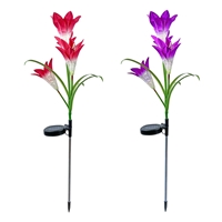 click image to enlarge