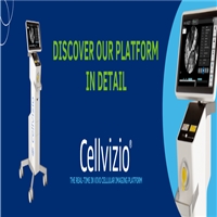 click image to enlarge