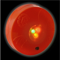 click image to enlarge