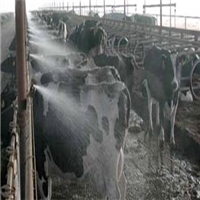 click image to enlarge