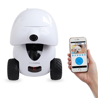 click image to enlarge