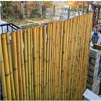 click image to enlarge