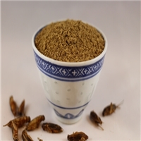 click image to enlarge