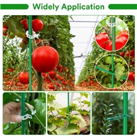 click image to enlarge