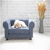 click image to enlarge