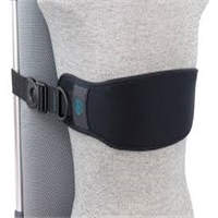 click image to enlarge