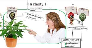 click image to enlarge