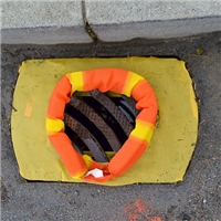 click image to enlarge