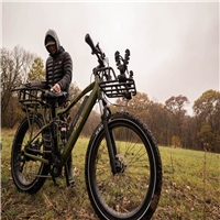 click image to enlarge