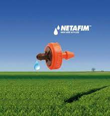 click image to enlarge