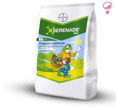 click image to enlarge