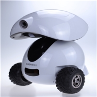 click image to enlarge