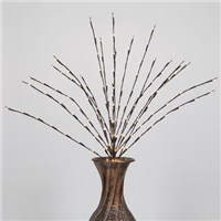 click image to enlarge