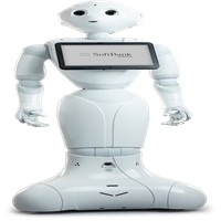 click image to enlarge