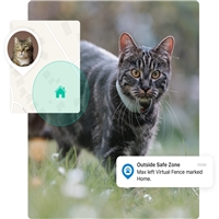 click image to enlarge