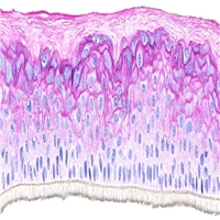 click image to enlarge