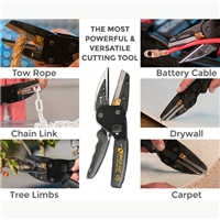 click image to enlarge