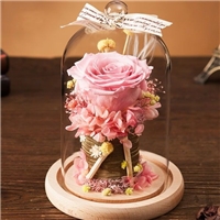 click image to enlarge