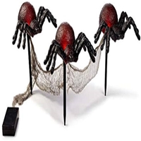 click image to enlarge