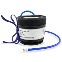 click image to enlarge