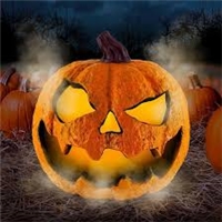 click image to enlarge