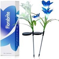 click image to enlarge