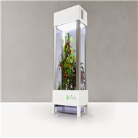 click image to enlarge