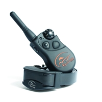 click image to enlarge