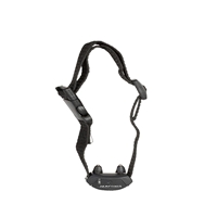 click image to enlarge