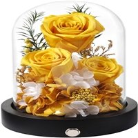 click image to enlarge